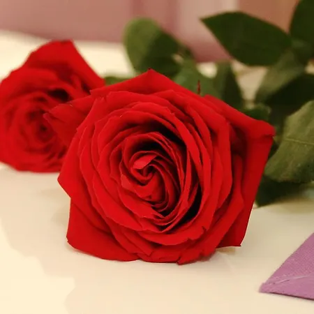 Gold Town Centre Old Town Appartamento Spalato